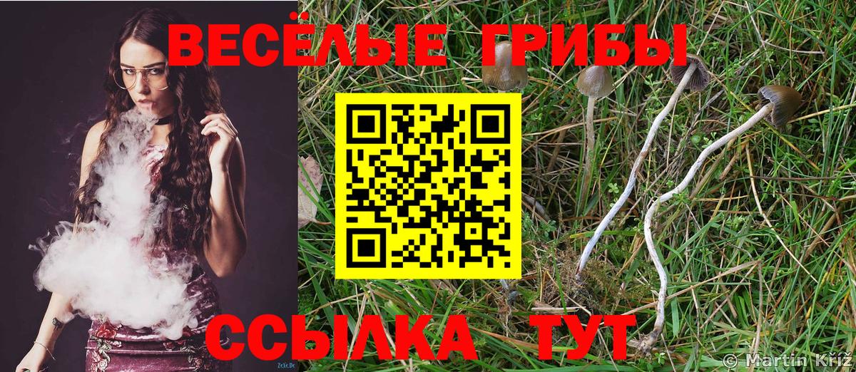 Галлюциногенные грибы Magic Shrooms  Вход с VPN  Псилоцибиновые грибы GOLDEN TEACHER  где можно купить наркотик  Лабинск 
