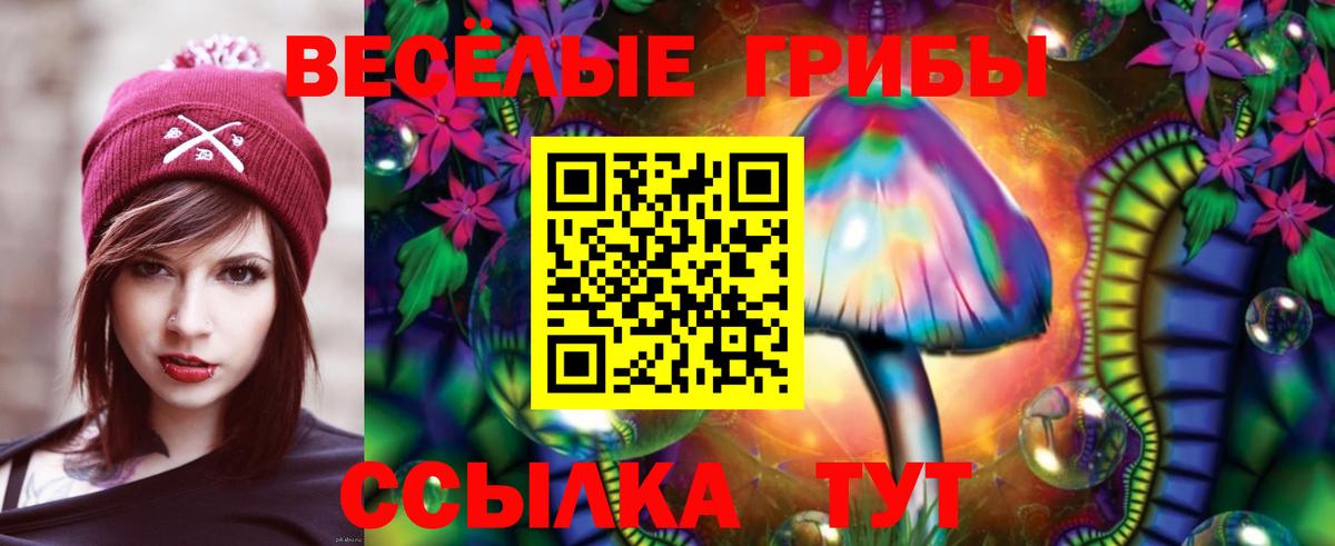 Псилоцибиновые грибы Psilocybine cubensis Лабинск